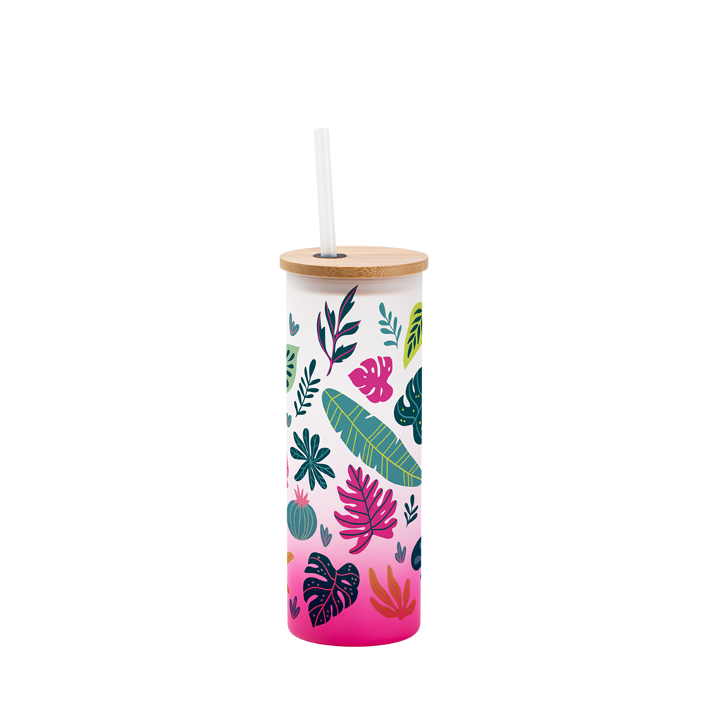 Sublimation Glass Tumbler with Bamboo Lid and Metal Straw 22 oz 4 Pack –  PYD LIFE