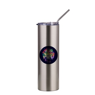 30oz/900ml Stainless Steel Tumbler with Straw & Lid (Plain, Stainless steel)