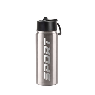 18oz/550ml Stainless Steel Water Bottle w/ Wide Mouth Straw Lid & Rotating Handle (Plain, Stainless steel)