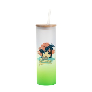 20oz/600ml Glass Skinny Tumbler w/Straw & Bamboo Lid(Frosted, Gradient Green)
