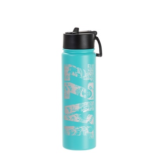 22oz/650ml Stainless Steel Flask with Wide Mouth Straw Lid & Rotating Handle (Powder Coated, Mint Green)